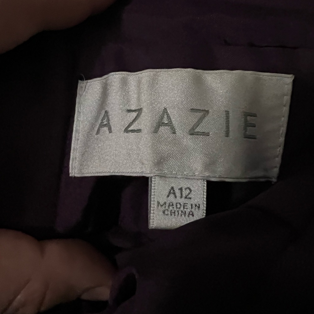 Plum Dress size 12